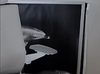 avsee, 트위터야동, 일본야동, 한국야동, 서양야동, 애니야동, 야동코리아, bj벗방