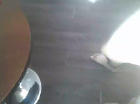 한국야동, 일반-모텔에서 만난 동창생