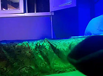 한국야동, 일반-오랜만에 오피스텔 방문